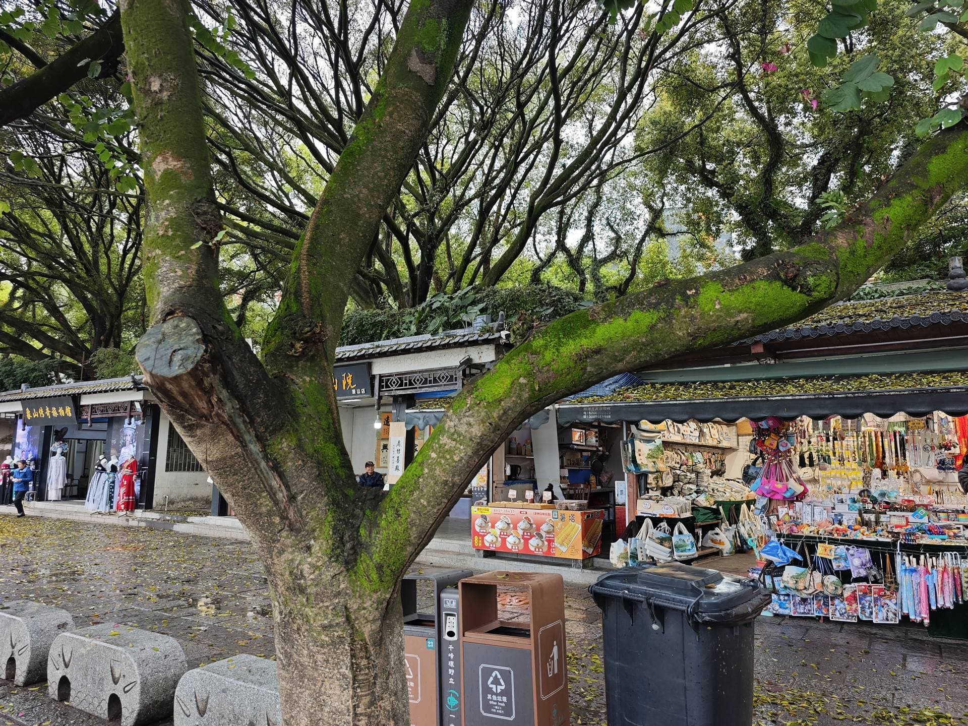 XS-04 采样缩略图