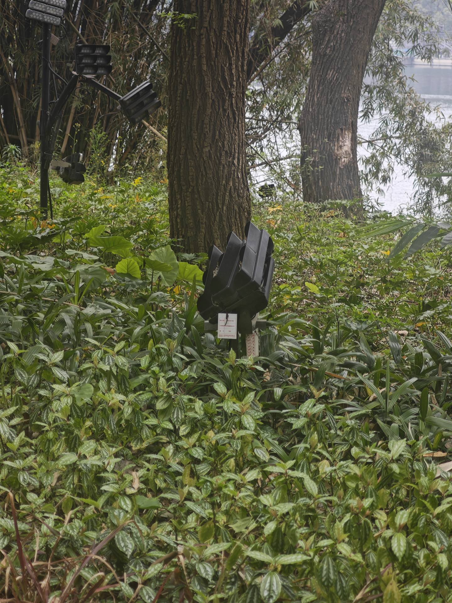 设施杆件